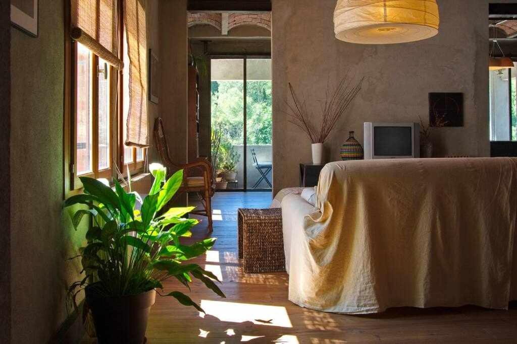 Sleep & Stay Artistico Loft Sant Daniel Girona Eksteriør bilde